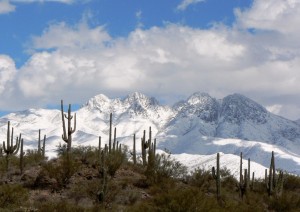 Winter Snow 